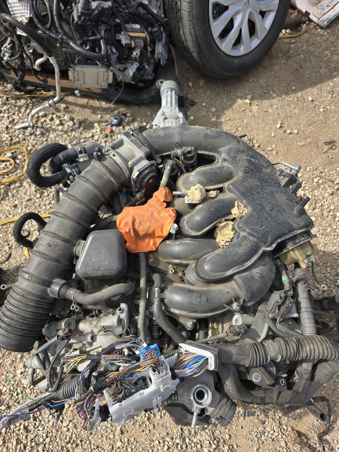 2006 Lexus IS 250 Upper Intake Manifold